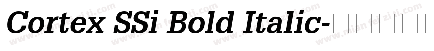 Cortex SSi Bold Italic字体转换